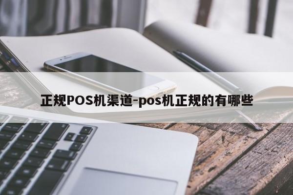 泽州正规POS机渠道-pos机正规的有哪些